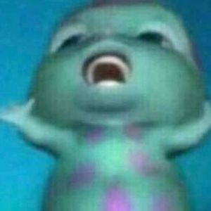 Meet your Posher, Maddie